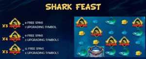 Mega Don Shark Feast